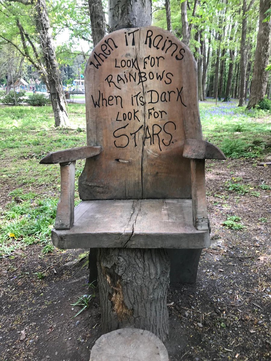 Mary Frances McManus tweet media