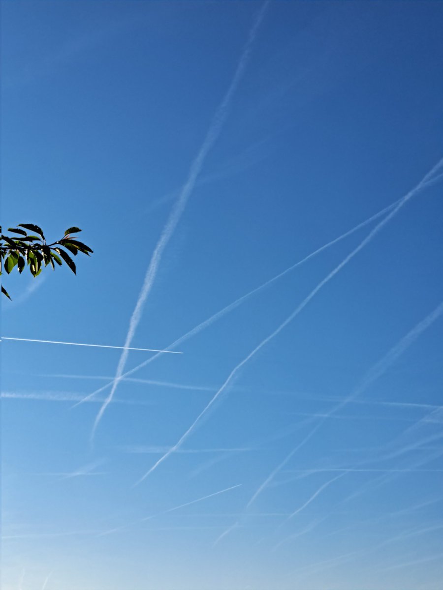 Piet Grasspriet 🌾 tweet media