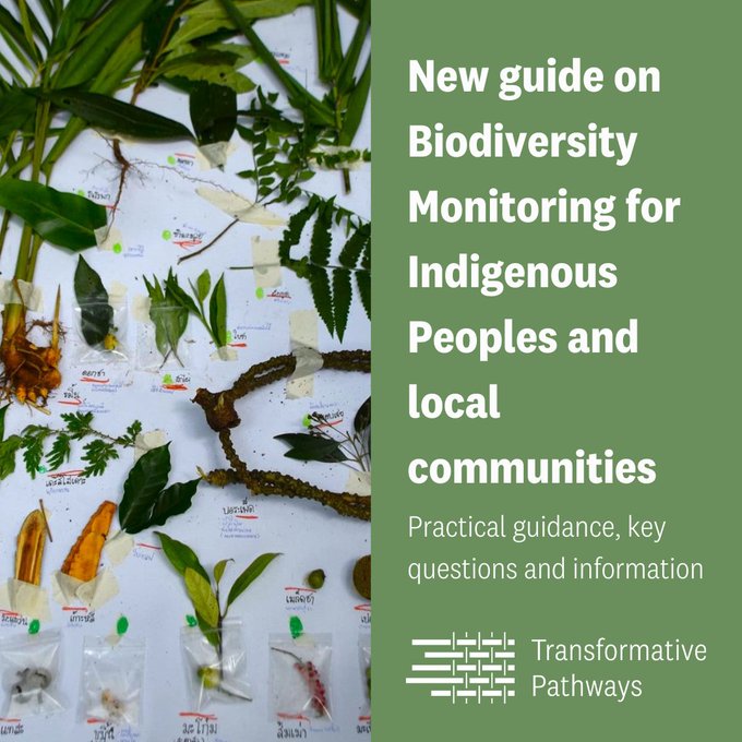 🌿#Biodiversity monitoring guide for #IndigenousPeoples and #LocalCommunities

Supports communities to make decisions on their own land, and to collect accurate data to strengthen their #LandRights claims

transformativepathways.net/introducing-a-…
 #ForPeopleAndNature @ForestPeoplesP