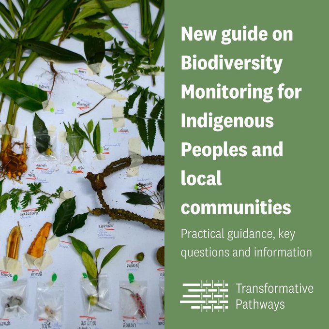 UN Biodiversity tweet media
