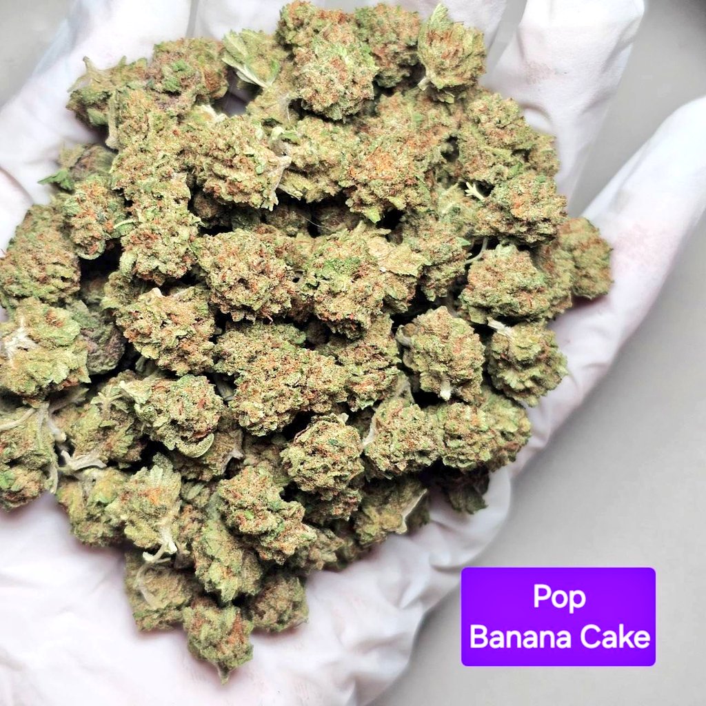 ☘️Banana Cake🍌
🍁Indoor🥦Hybrid
⚡ส่งฟรี✅มีCOD
🍰เค้กกล้วย
#กัญชาราคาถูก #กัญชากทม #กัญชากรุงเทพ #กัญชาดอนเมือง #กัญชาออแกนิค  #กัญชาเสรี  #กัญชาog #กัญชาอัดแท่ง #สายเขียว #สายกัญ #กัญชานอก #กัญชารังสิต #กัญชา #กัญชาหลักสี่ #กัญชาราคาส่ง #กัญชาอยุธยา #กัญชาทุ่งครุ #กัญชาฝั่งธน