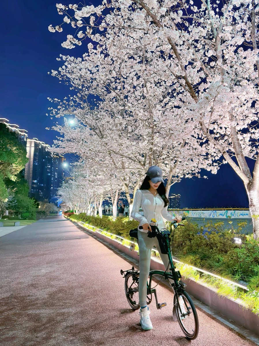 Unprofessional cyclist, I’m here for Sakura # cherry