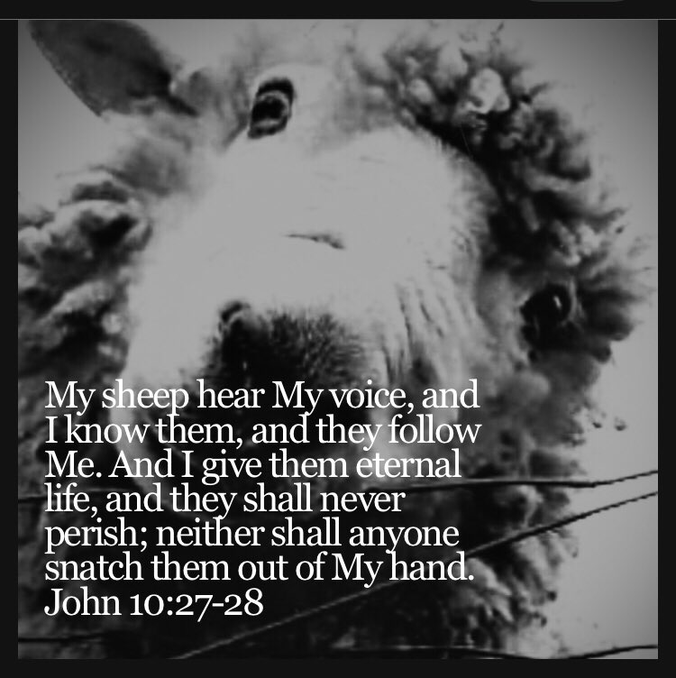 John 10:27-28 🗣🤝👥