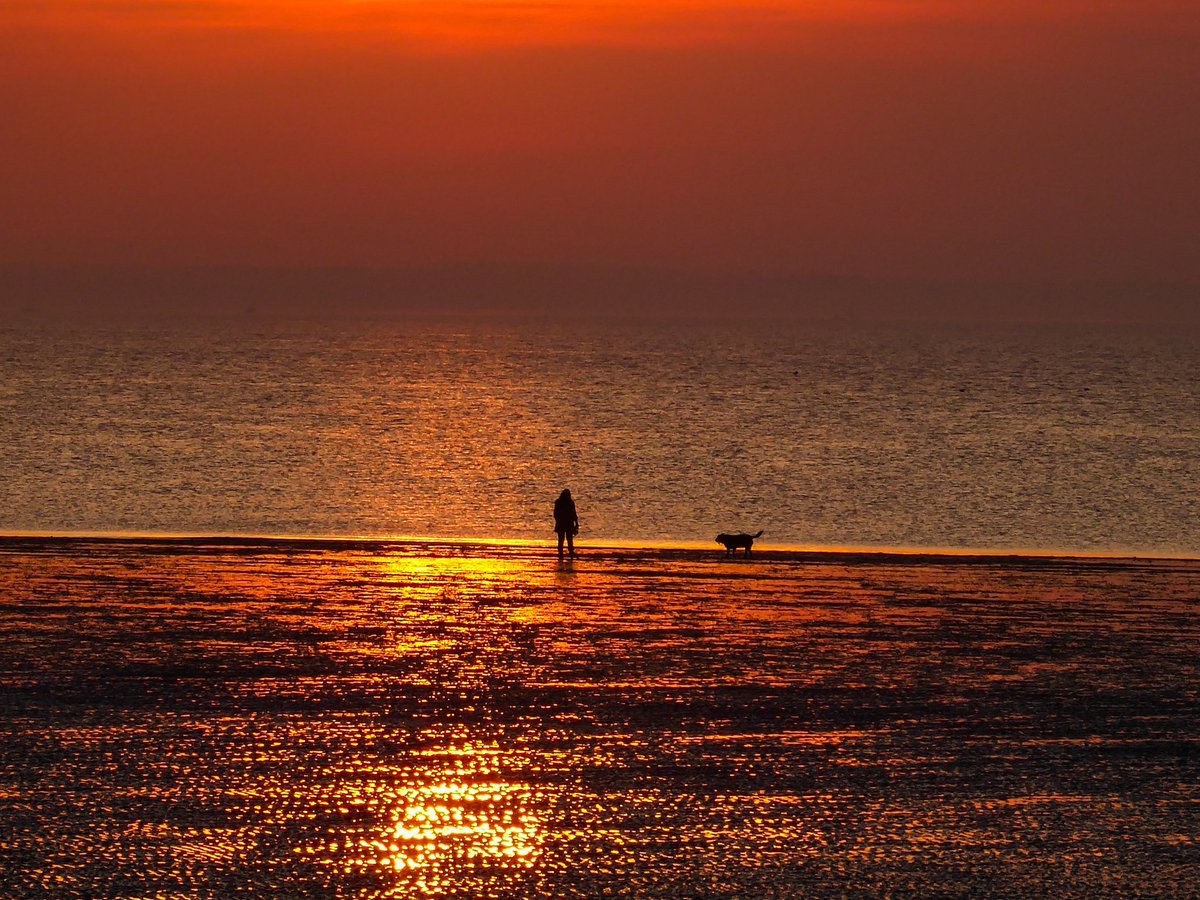 @WightlinkTravel #landscapephotography  #sunrise #IOW #IsleofWight #AONB #IsleofWightNationalLandscape #IsleofWightNL #Coast @iwightradio @VisitIOW
Sunset sailings, May 11th.