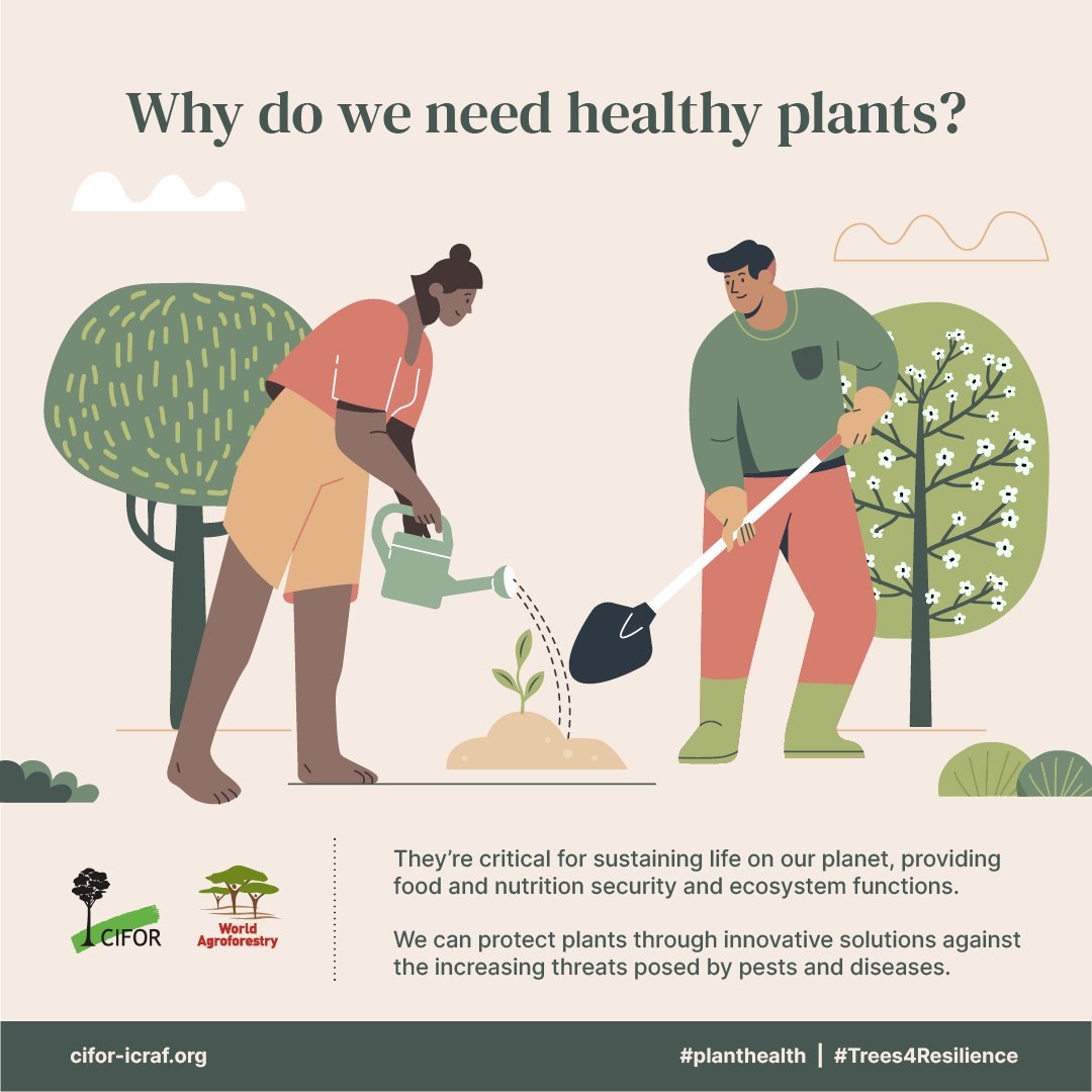 Why do we need healthy plants?

They’re critical for sustaining life on our planet, providing food and nutritional security and ecosystem functions. 

Happy International Day of Plant Health💚 

#planthealth #IDPH