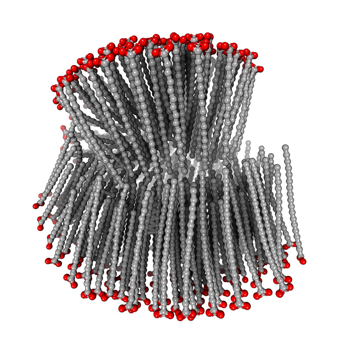 Using 250 lipids as input, @alphafold3 produces very interesting output, including a micelle, with quite rigid conformations of lipids. #scivis #lipids #micelle @proteinimaging