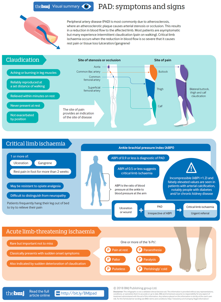 Peripheral artery disease (PAD) - Symptoms and Signs

#medtwitter #foamed #meded