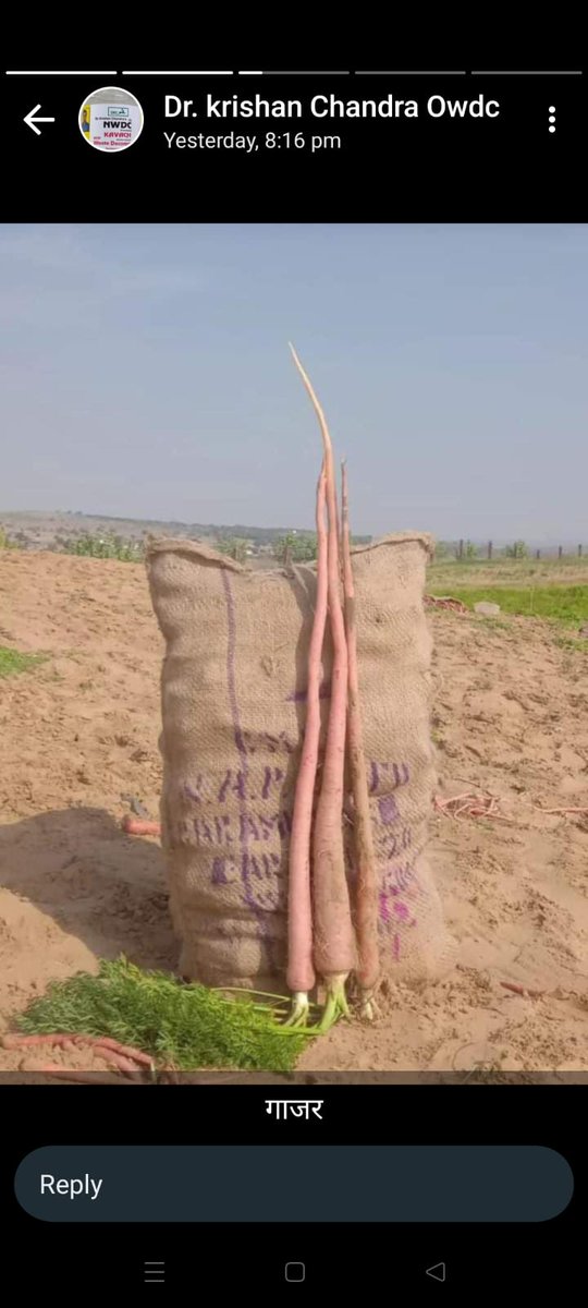 Krishan_rcof's tweet photo. Unbelievable #owdc #कवच #nwdc # गाढ़ा गोमूत्र पहलीबार https://t.co/B20lAQqKNm