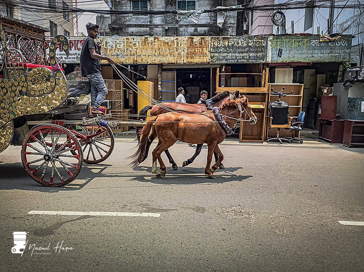 #Horse Carriage
Segun Bagicha 
Dhaka,Bangladesh 🇧🇩
12 May,2024
Infinix Note 10
Gcam
Lightroom CC
DOP : 12.05.2024