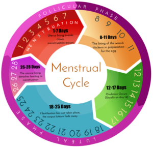 #พุธิตา #ก้าวไกล #เมนส์มาลาได้ #สูติศาสตร์ล้านนา #Dysmenorrhea #MenstrualCycle #เมนส์มาลาได้ #ลาได้กี่วันนับรวมตั้งแต่ระยะเริ่มปวด