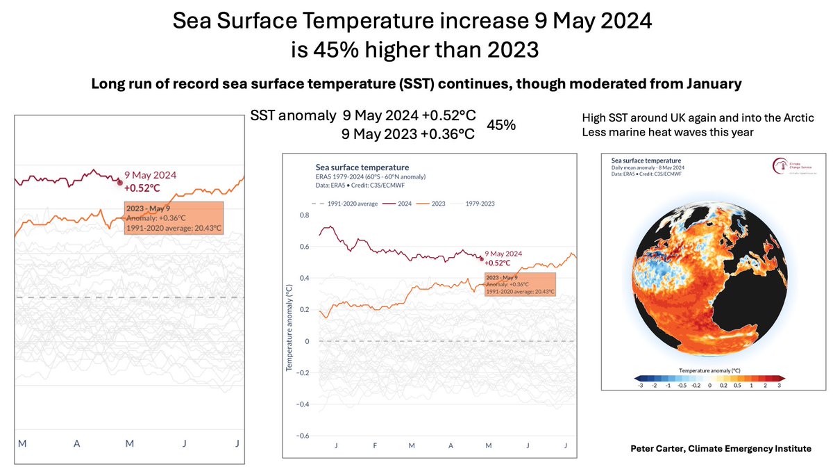 LONG RUN RECORD SEA SURFACE WARMING CONTINUES 9 May 2024 anomaly 45% higher than 9 May 2023 Moderating from January as El Niño fades away Copernicus pulse.climate.copernicus.eu #globalwarming #ClimateChange