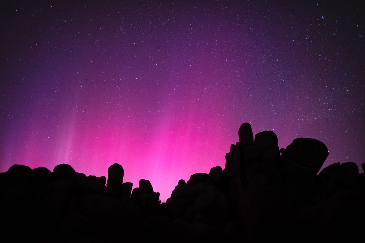 Joshua Tree, CA | May 10th, 2024

#joshuatree