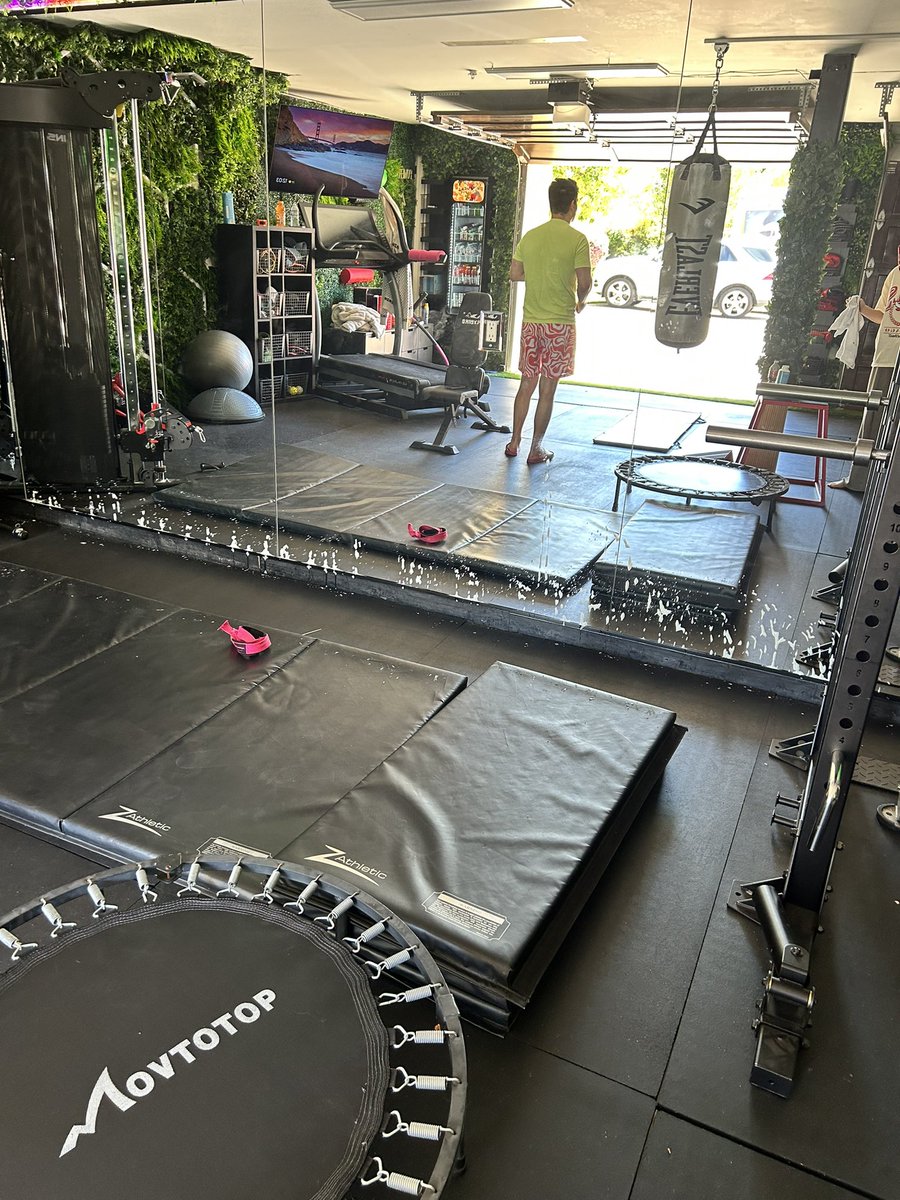 tried to be a good person and leave the gym open so the bird could escape and instead it invited two of its bird friends and had a shitting party. shit on the barbells, the mirrors, the mats, the dumbbells, the yoga balls. i saw part of it in action it was honestly impressive.