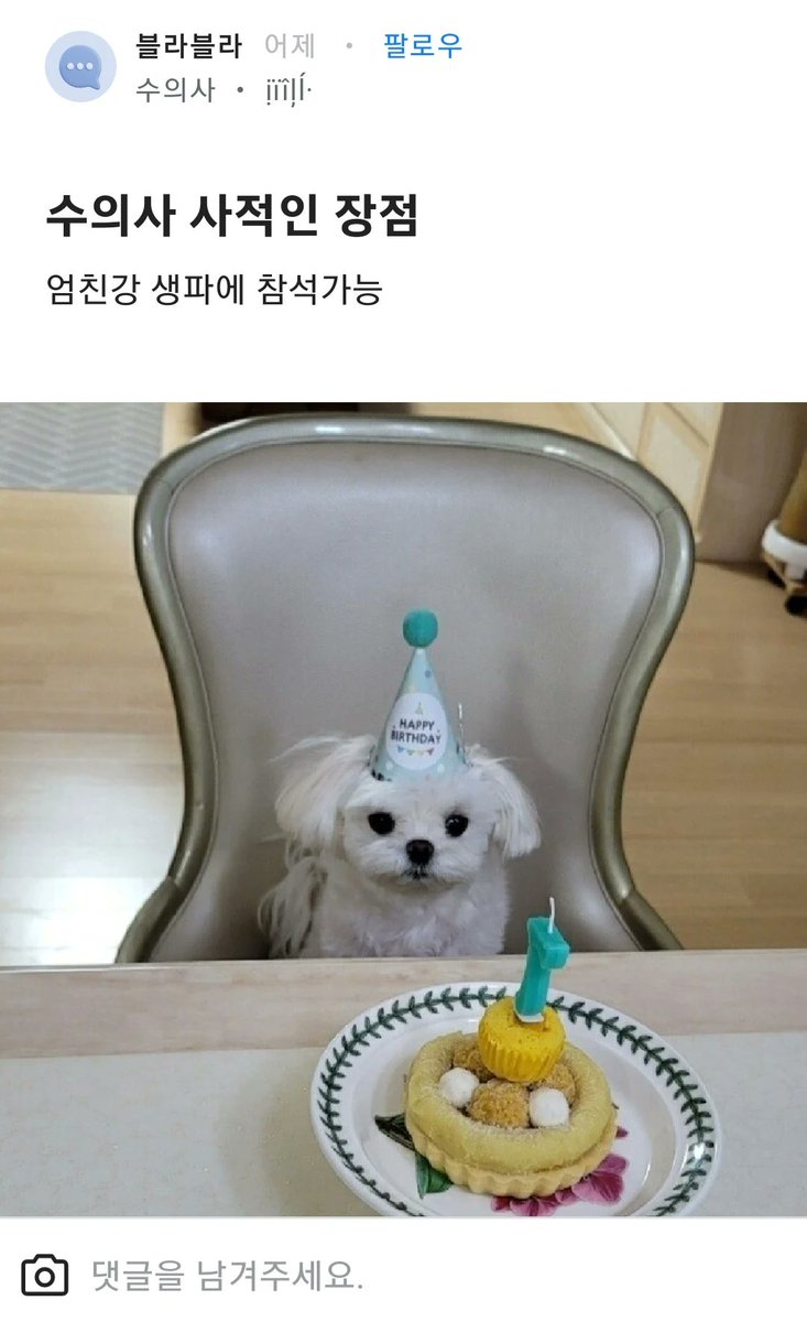 동물짤 모으는 말랭이 (@malrang_s_) on Twitter photo 