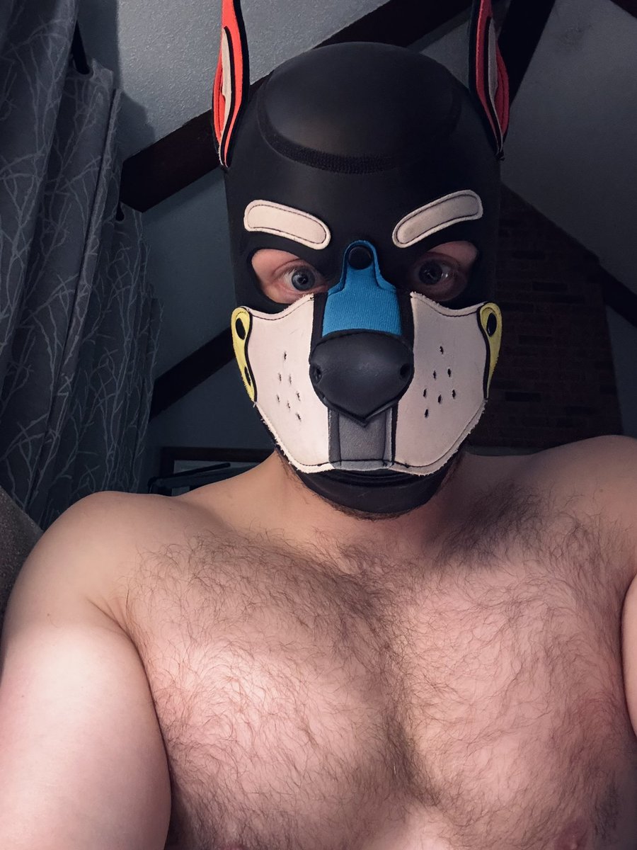 Wüf