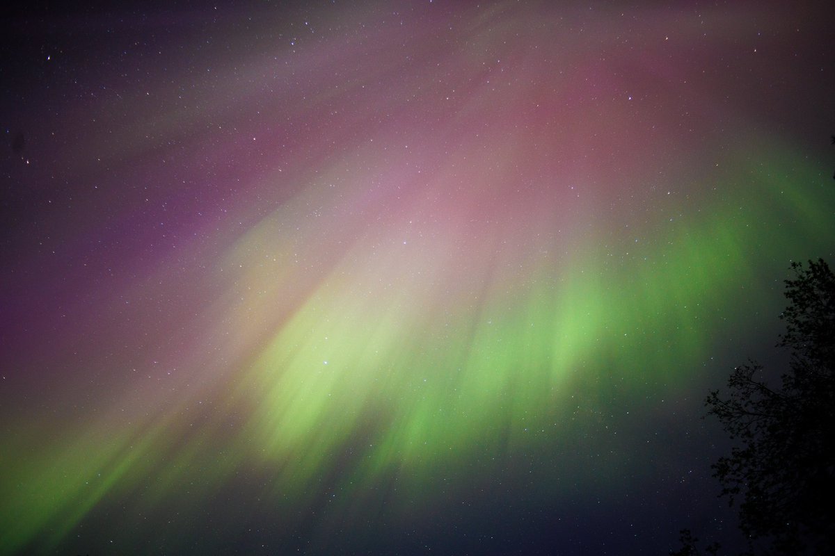 ghostpipesjam's tweet photo. We were lucky to catch these last night, too cloudy tonight. The camera picked up more color than was visible with the naked eye. Still, an amazing thing to view. Here is what the camera got vs what it looked like for us: https://t.co/sX0Qyw1NOU