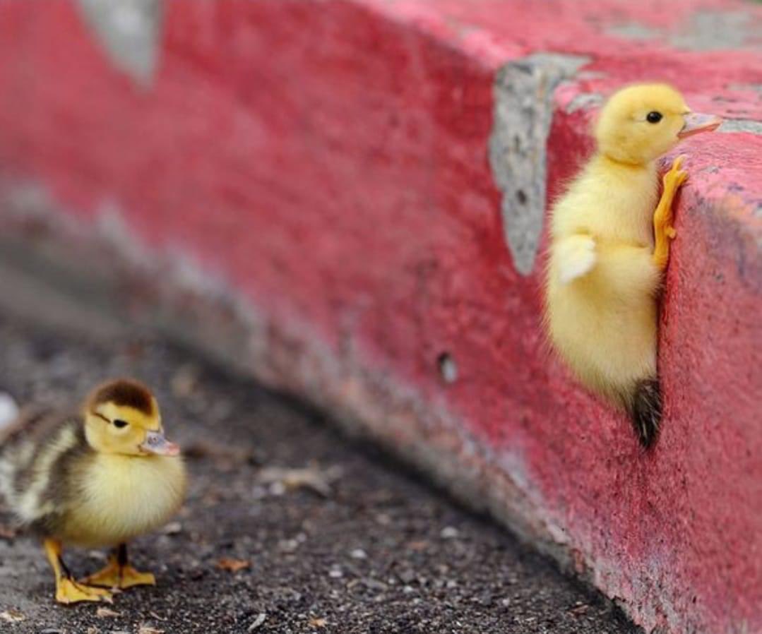 " كن قوياً لأجلك ، فالحياة تهلك الضعفاء دائماً "