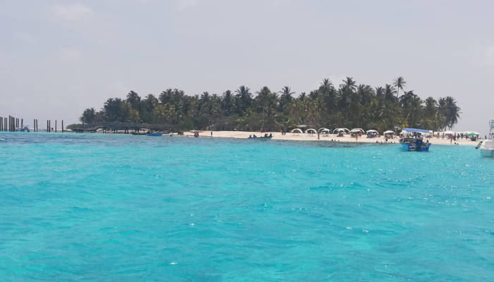 coralina_sai's tweet photo. #JohnnyCay Regional Park más de 5 años siendo una de las mejores playas del mundo con el galardón #BlueFlag. Te contamos aquí 👉https://t.co/NNRmPrtDee
#PlmónCaribeInsular https://t.co/JLuGjaUFr1