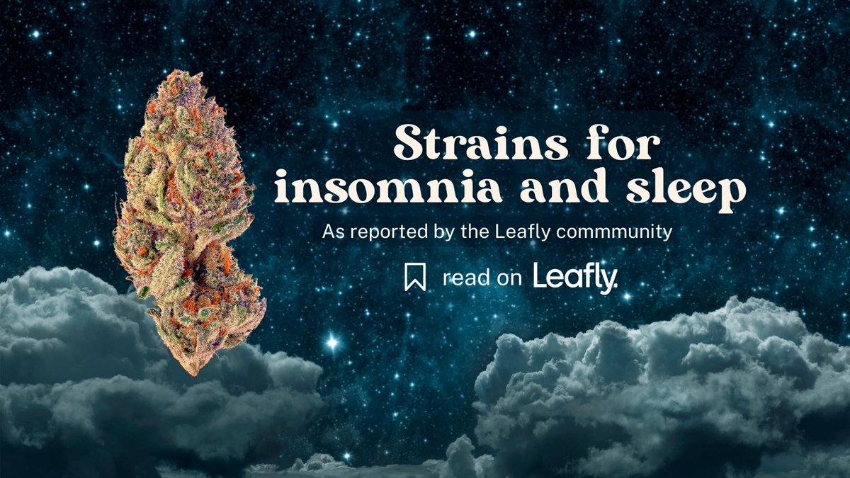 Drift off to dreamland this weekend with this handy list of sleepy strains 😴 bit.ly/42qPvcL