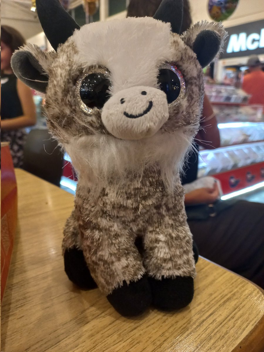 euhany_'s tweet photo. meu bixinho que não sei oq é acho q e uma vaquinha q eu peguei na maquina <3 https://t.co/sUIGoN3VHf