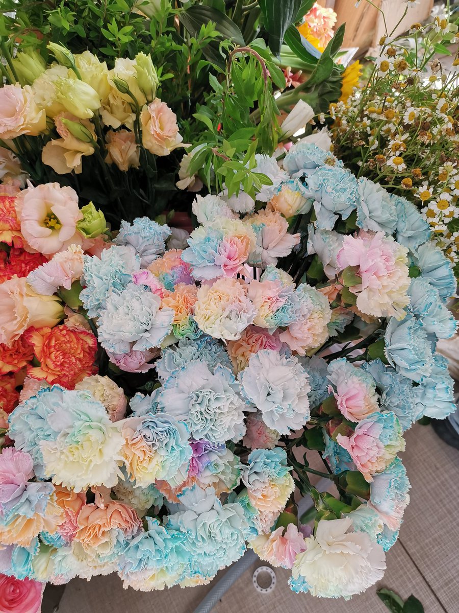 如若我们生来如此，生命有何不对？