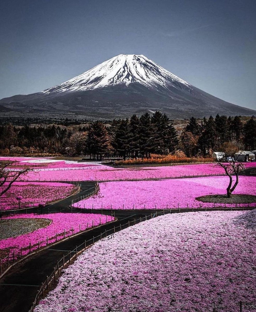 Mount Fuji Japan 🇯🇵