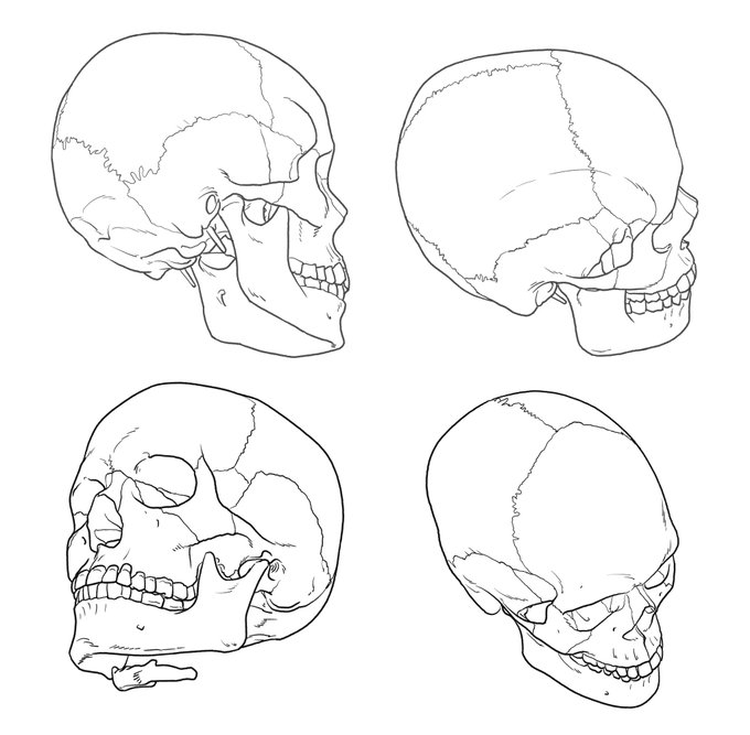 「skeleton」 illustration images(Latest｜RT&Fav:50)