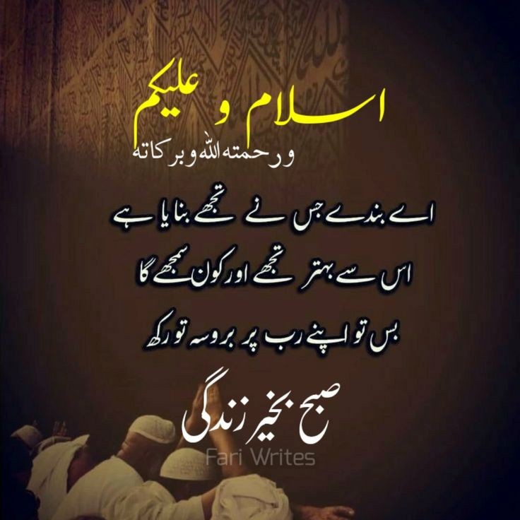 اگلی پروموشن لسٹ کے لیے
❤️لائک  🔄ری ٹویٹ اور🗨️ کریں

<a href="/fizasaleem531/">Fizza Hashmi</a>
<a href="/37Geralt/">GERALT of RIVIA</a>
<a href="/hamzahashmi0477/">Hamza Khan</a>
<a href="/WaqasYasin92/">Waqas Hashmi PTI</a>
@abdulahibedrii1
<a href="/husseinturkm/">turkmani☂️</a>
@AnsarJakhor178
<a href="/walinterteam/">Pti Walinter فضل بخش</a>
<a href="/Saminullah16149/">Samin ullah</a>
<a href="/BalochRozay/">Rozay Khan Baloch</a>
@saeeddexterkhan
<a href="/khan_okash85925/">okashah khan pti❤</a>
