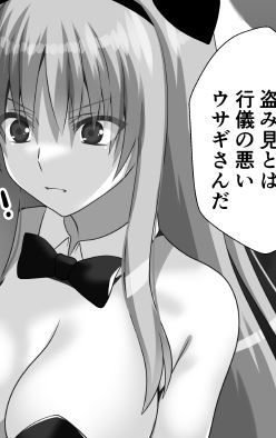 フェイトさんはお行儀の悪い兎さんでした^^ 