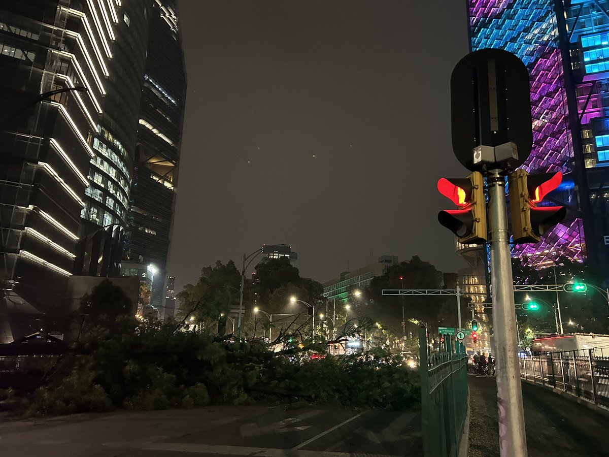 luisanmaa's tweet photo. @SSPCMexico @LaSEMOVI se cayo un árbol sobre reforma enfrente de la estela de luz, obstruye dirección periférico https://t.co/yvAiOv3B2C