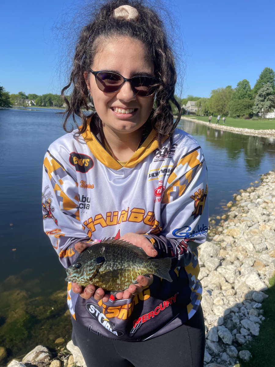 Schaumburg Fishing tweet media