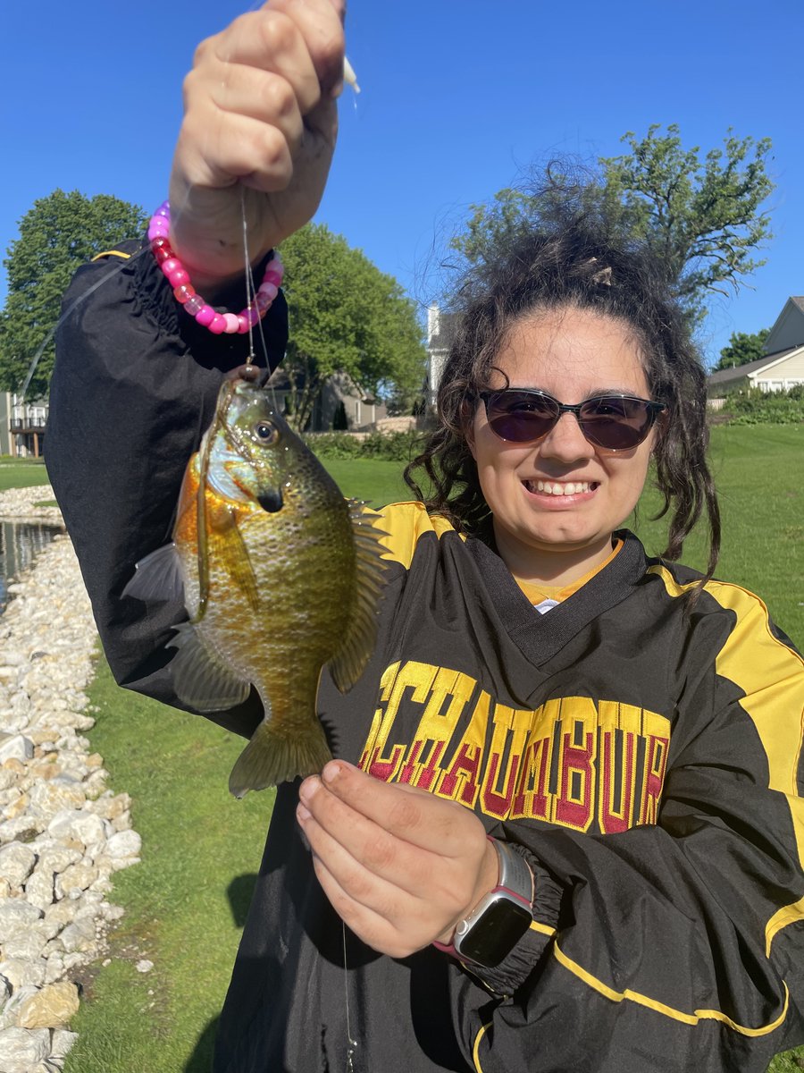 Schaumburg Fishing tweet media