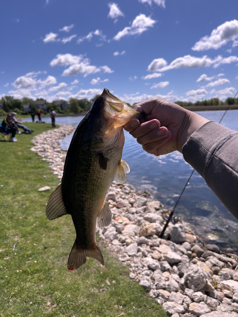 Schaumburg Fishing tweet media