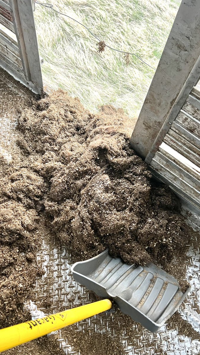 500 miles on a load of bison calves and its all hair thats left over in the trailer