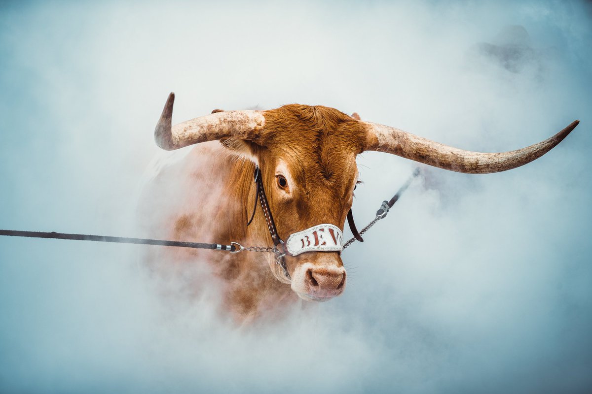 Texas now has 14 Big 12 Championships which is a new school and conference record! It’s a big deal!

Not convinced? 

Kansas State has been in the Big 12 since 1996 and has accumulated 14 Big 12 Championships ALL-TIME!!!!

Still a doubter?

Counting all the Big 12 Championships