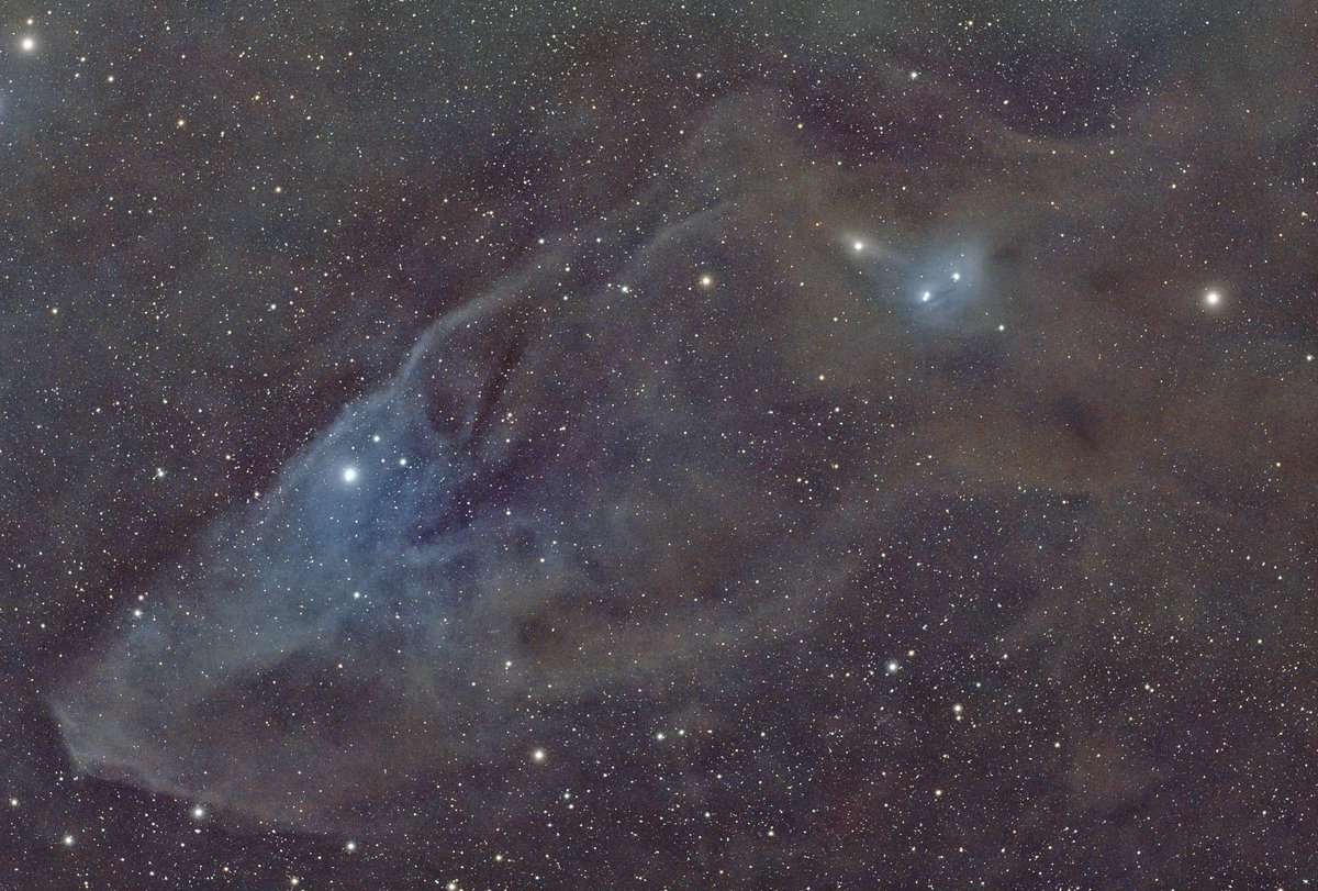 金曜の夜に挑戦した青い馬頭星雲を処理してみたよ！

#IC4592
#青い馬頭星雲
#Astrophotography