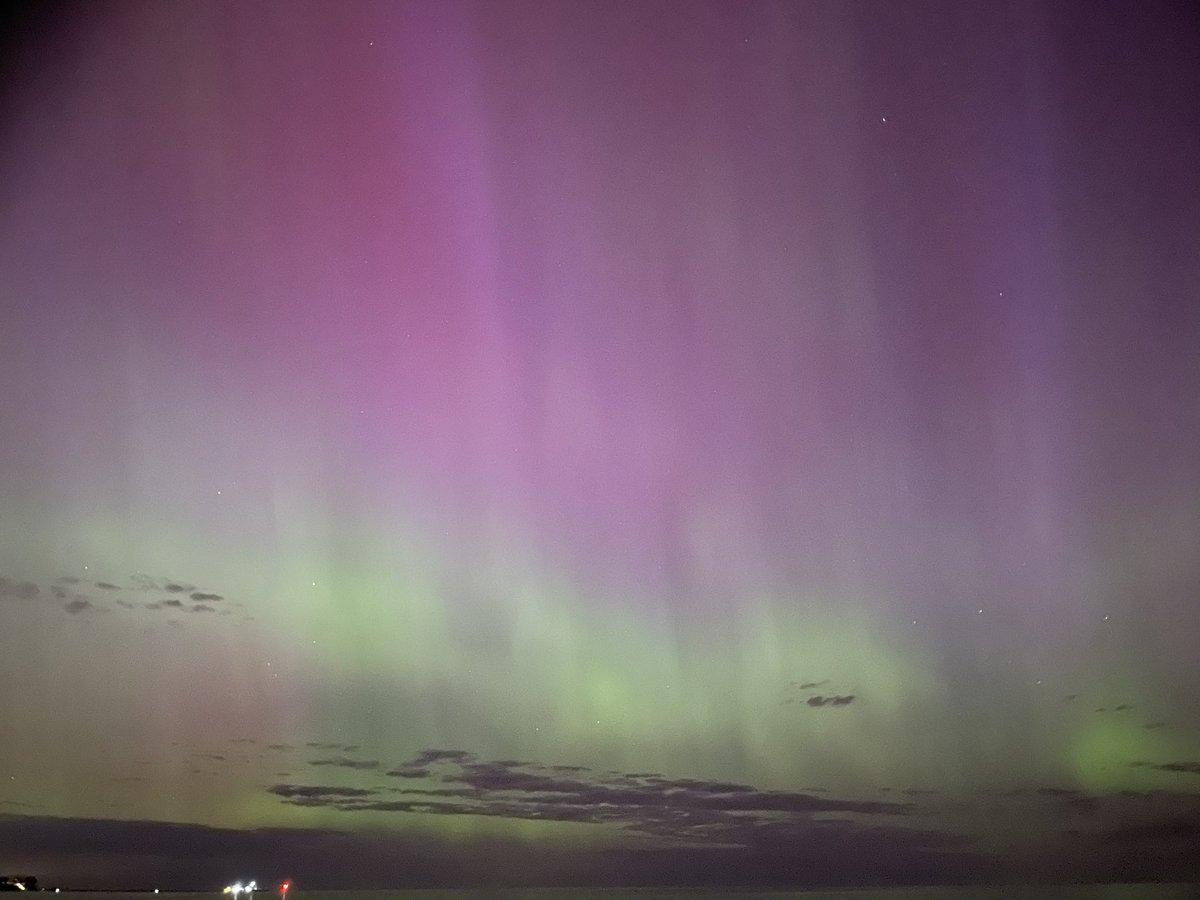 Jackie Salsbury tweet media