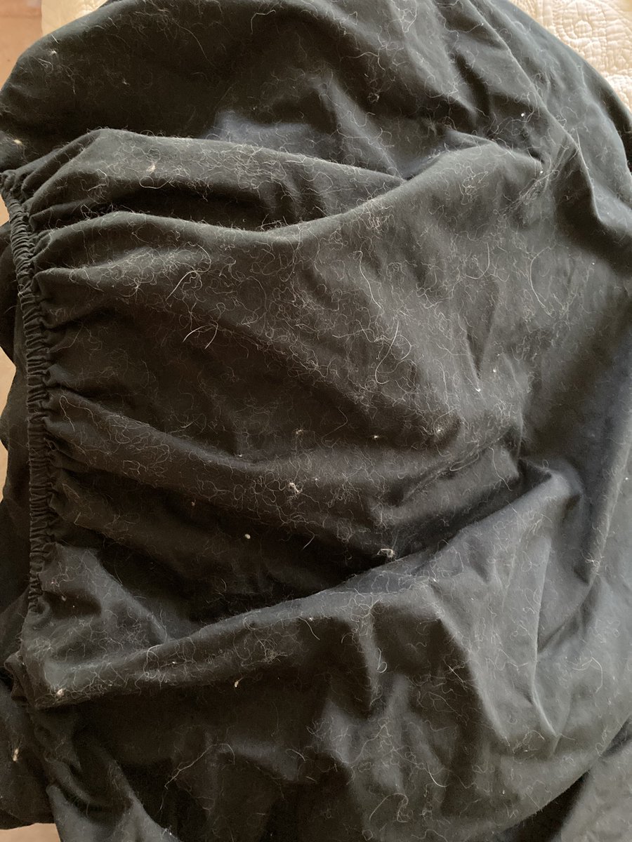 Richard “Rico” Anderson tweet media