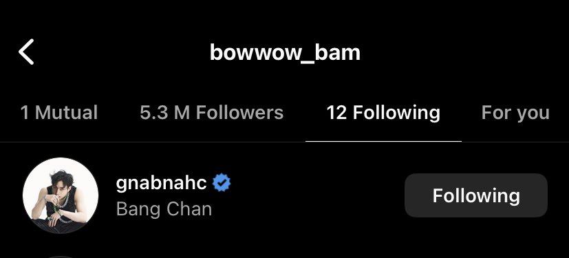 JUNGKOOK IS FOLLOWING CHAN ON INSTA OMFGGGGGG