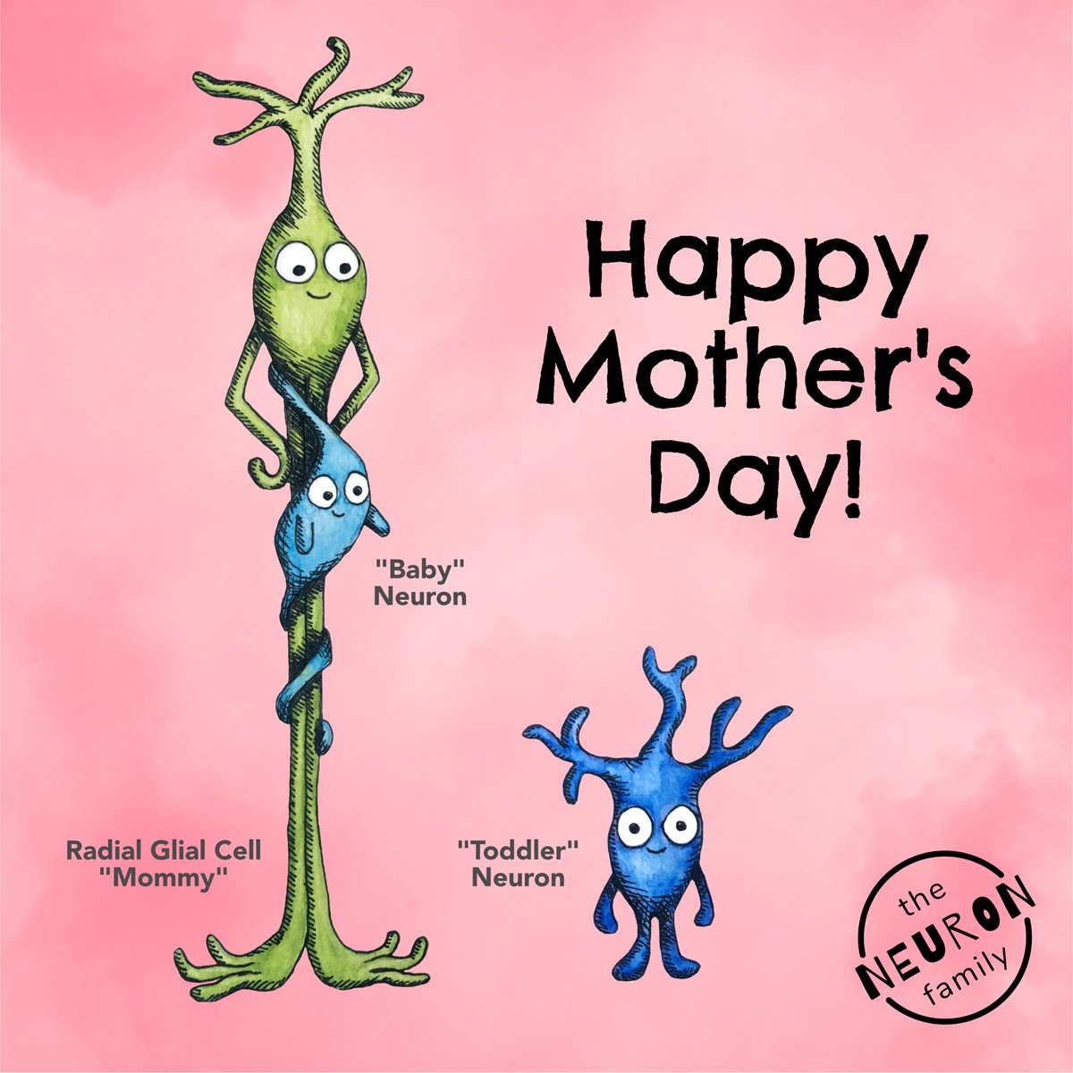 Happy Mother's Day! 💕 . From our developmental neurons - includes a Mommy Radial Glial Cell, a Baby Neuron and a Toddler Neuron!