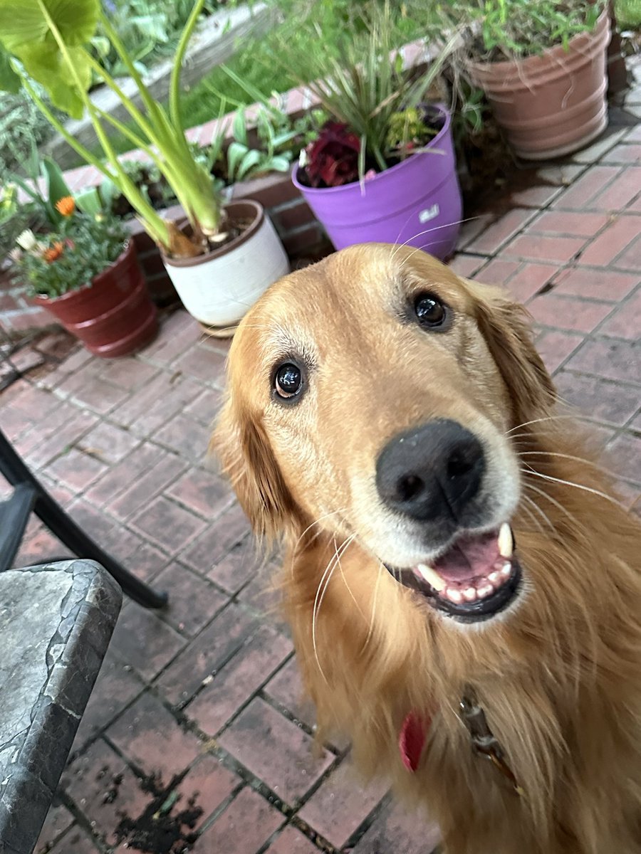 @CalebJHull Gus says “hello from Boise!”