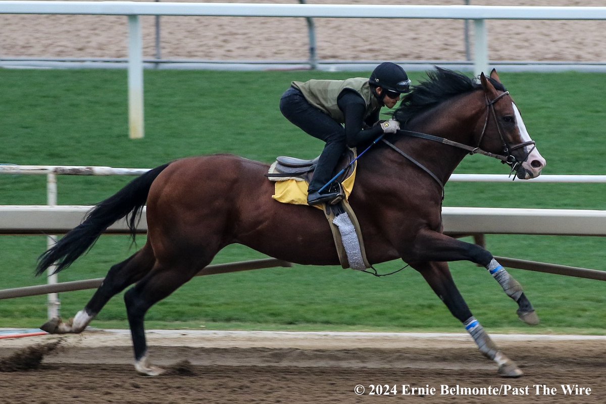 Air Force Red (4F: 49.20 H) working this morning.