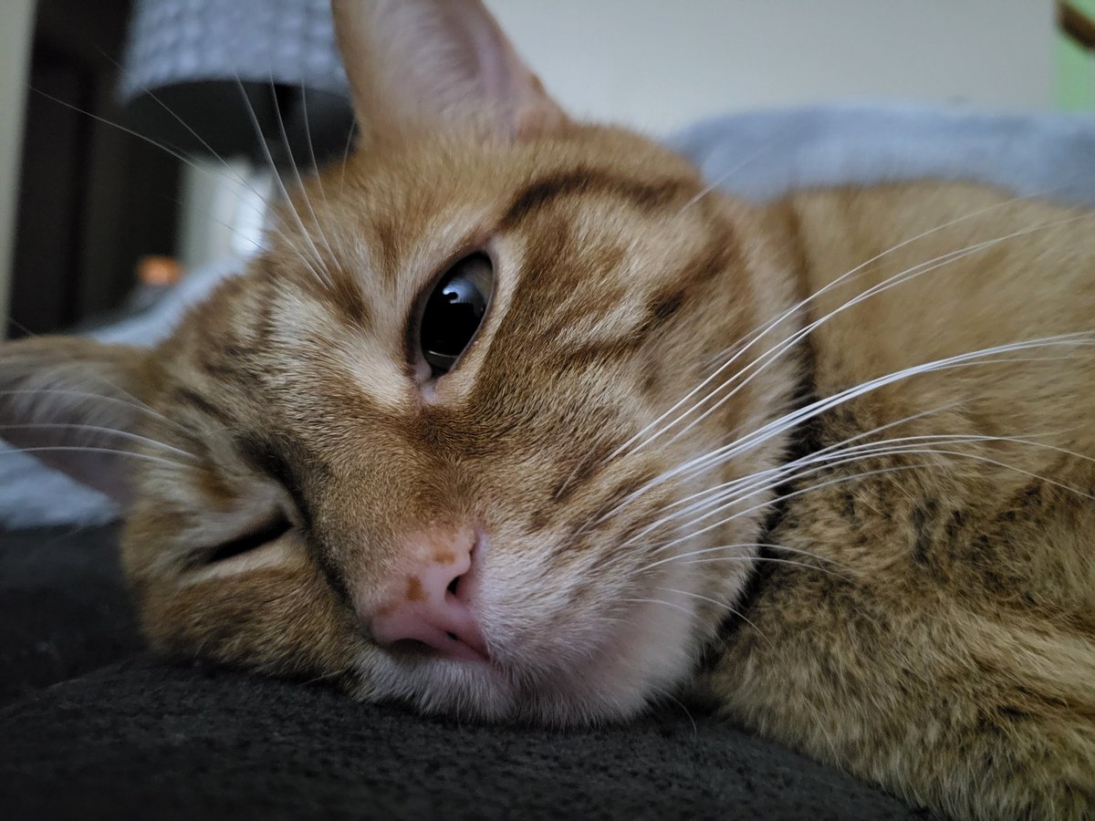 Dr. lloD tweet media