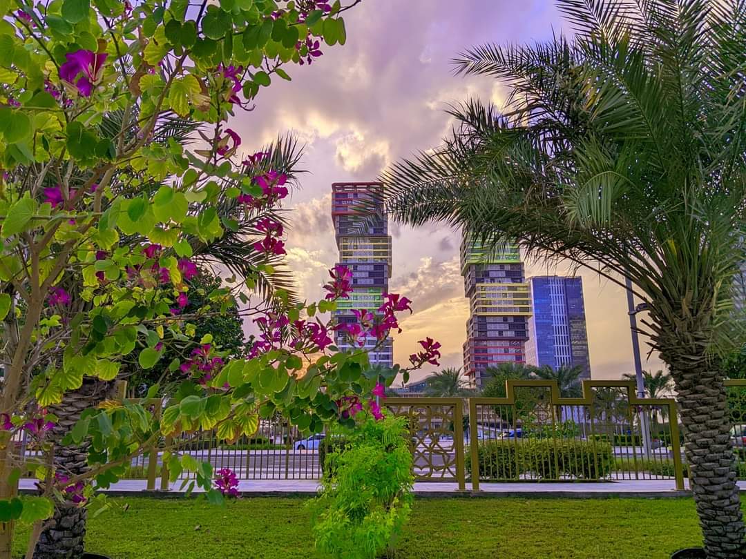 Good morning X family 😚💗 
#eurovisiongr #ESC2024 #FreePalestine