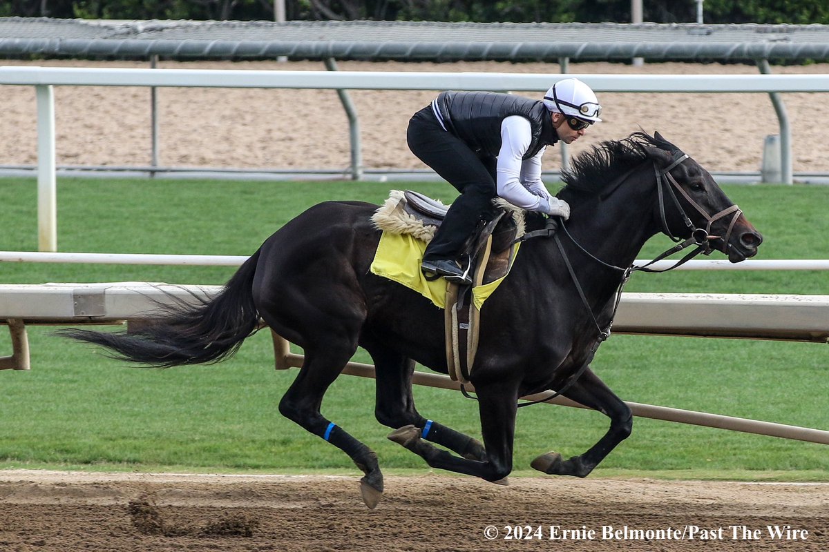 Anisette (5F: 1:02.80 H) working this morning under @umbyrispoli.