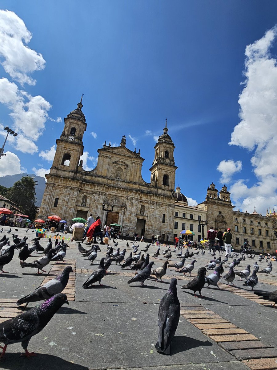 Have the pigeons taken over Plaza de Bolívar! #traveling #Colombia #Bogotá