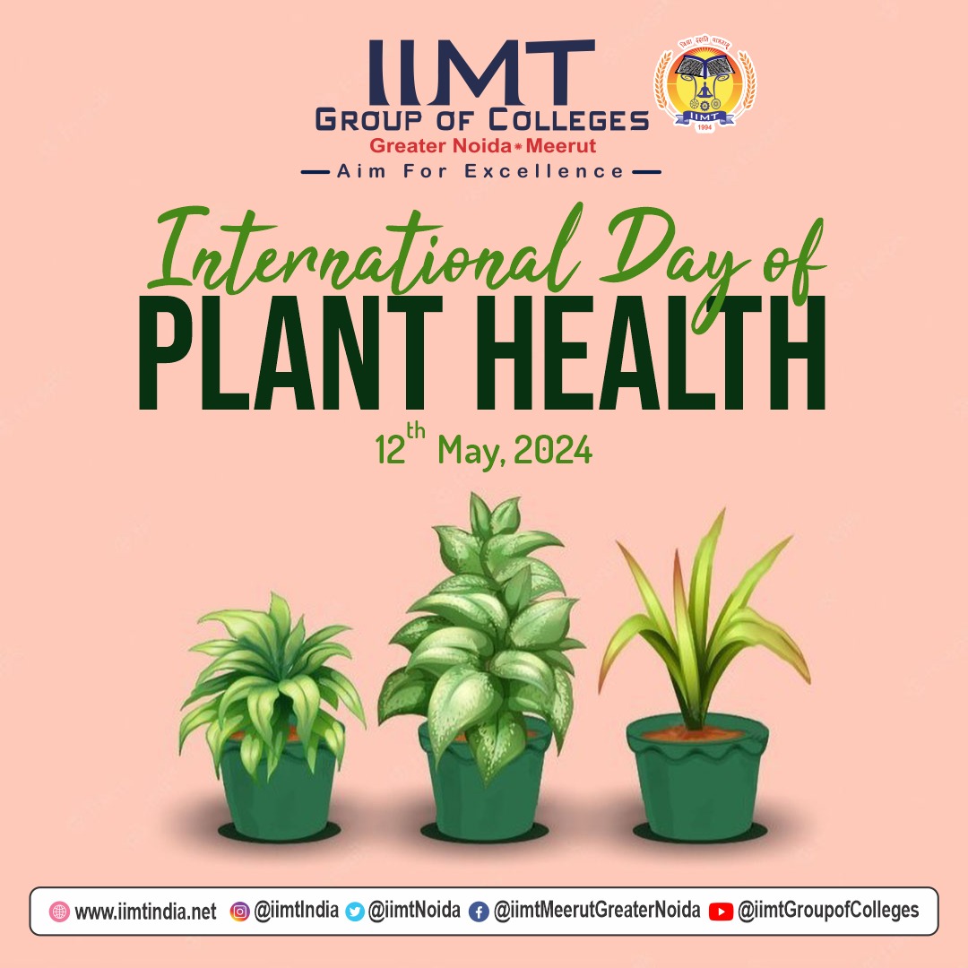 12th May, 2024 Happy International Day of Plant Health! 🌱🌍 Let's take a moment to appreciate the vital role that plants play in sustaining life on Earth. . iimtindia.net Call Us: 9520886860 . #IIMTNoida #IIMTGreaterNoida #IIMTDelhiNCR #IIMTian #PlantHealth