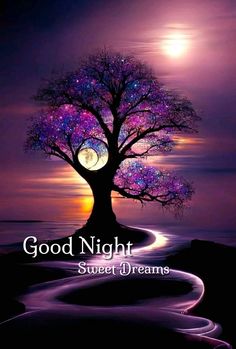 Good night friends! I hope you had a great day! 💜✨💙✨🫂✨🥰