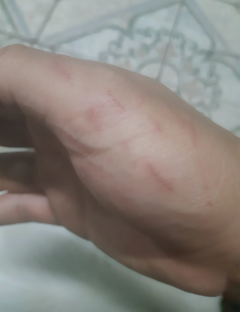 bobe12_'s tweet photo. Unas demostraciones d amor d mi iuanita, wonita 🦎 https://t.co/7sVnvk2hXW