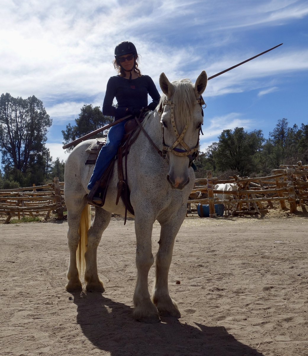 The wife, with a 10’ practice lance, ready to do the rings before a joust. As one does. Merlin, of course, is the horse. He’s a very good guy.